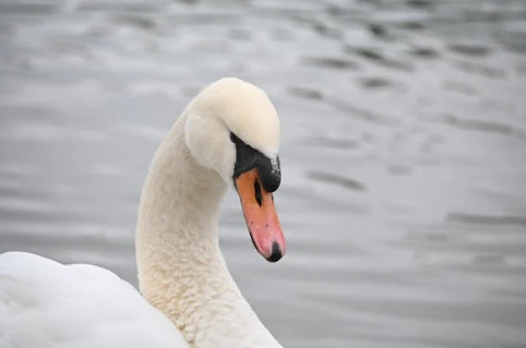 得了慢性前列腺炎，会导致精液颜色发黄吗？（精液不液化果冻状）-前列腺炎论坛-病症交流专区-前列腺论坛