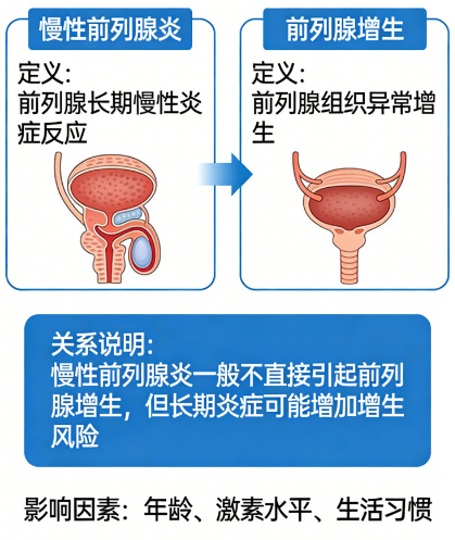 慢性前列腺炎会引起前列腺增生吗？-前列腺论坛
